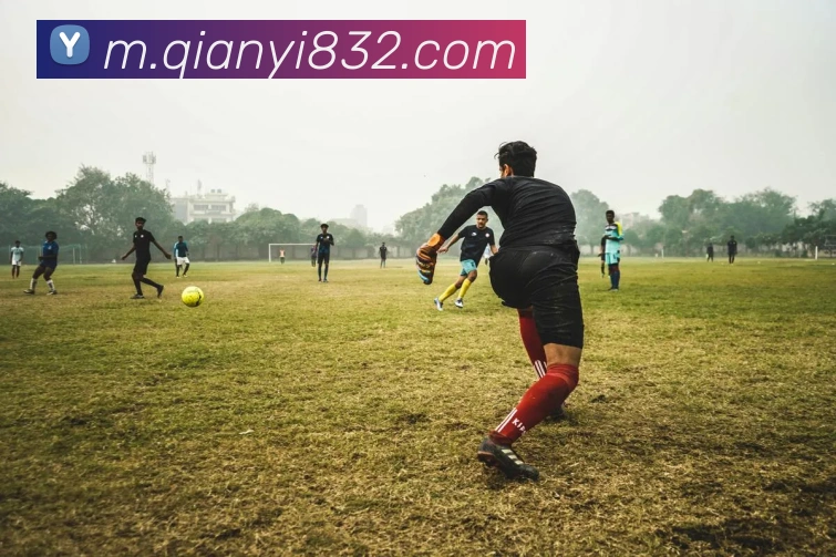 体育直播服务